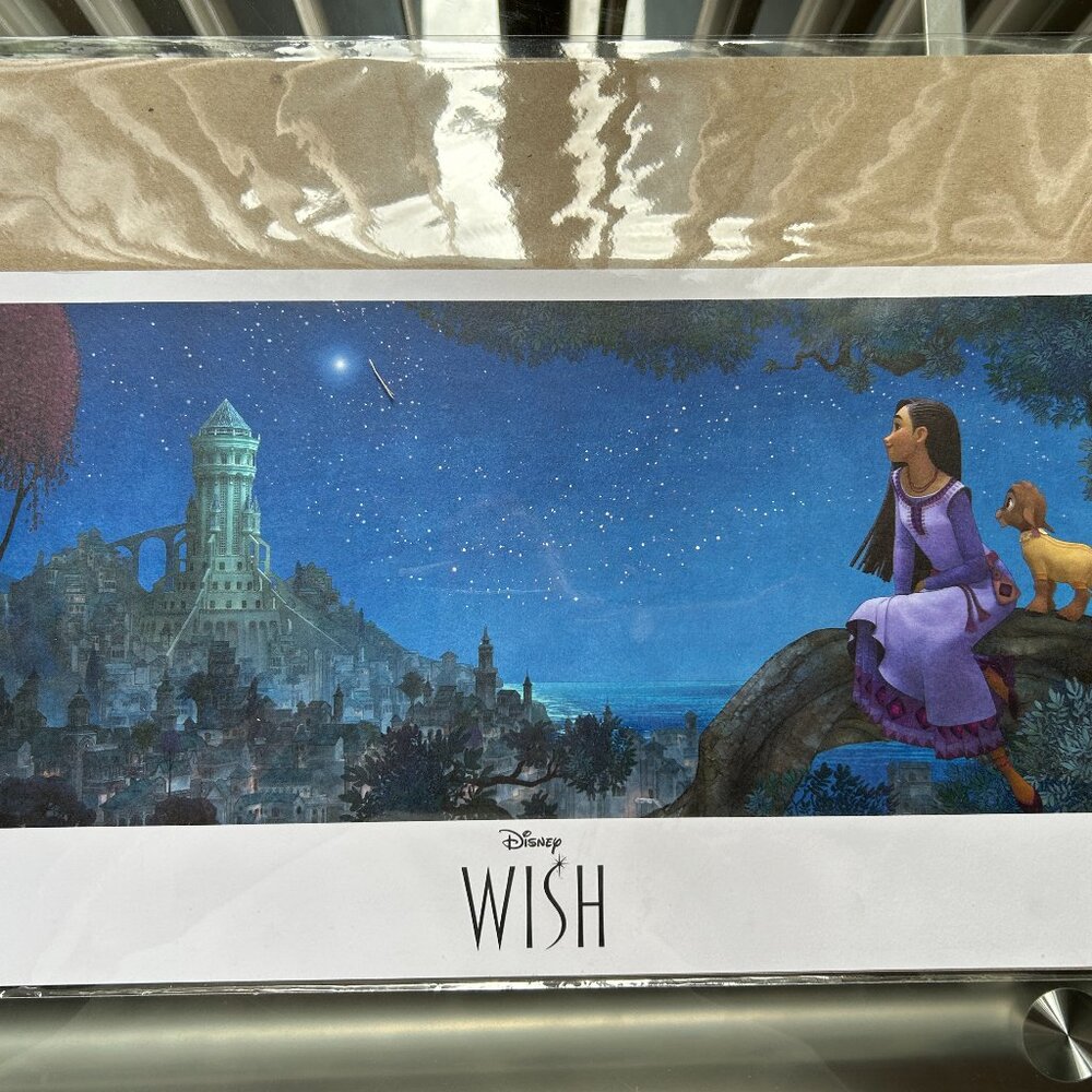 Disney Lithograph - Wish